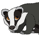 cropped-badgers-picture-1.jpg